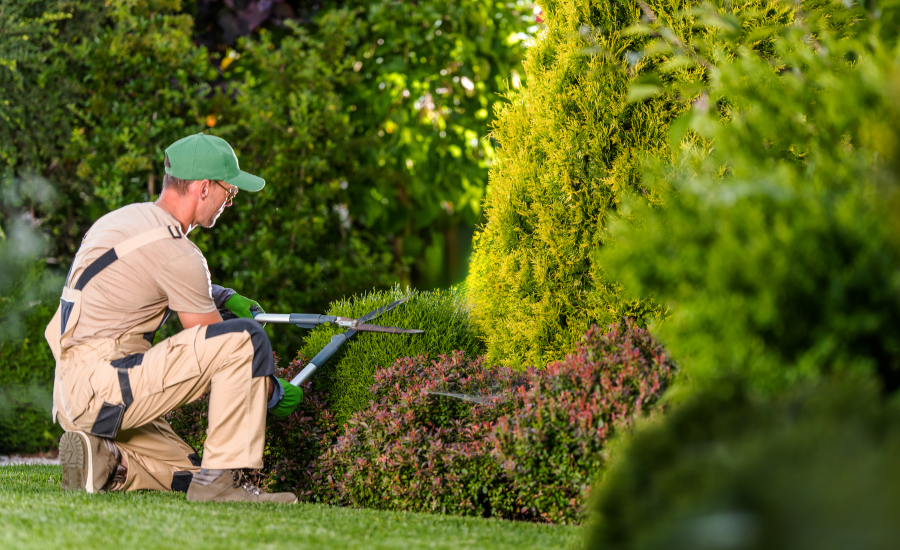 facility maintenance team (4)
